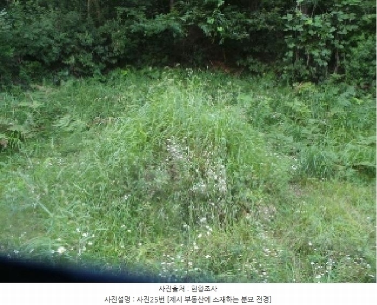 2025타경50816 강원특별자치도 화천군 하남면 서오지리 산40 임야 경매 이미지