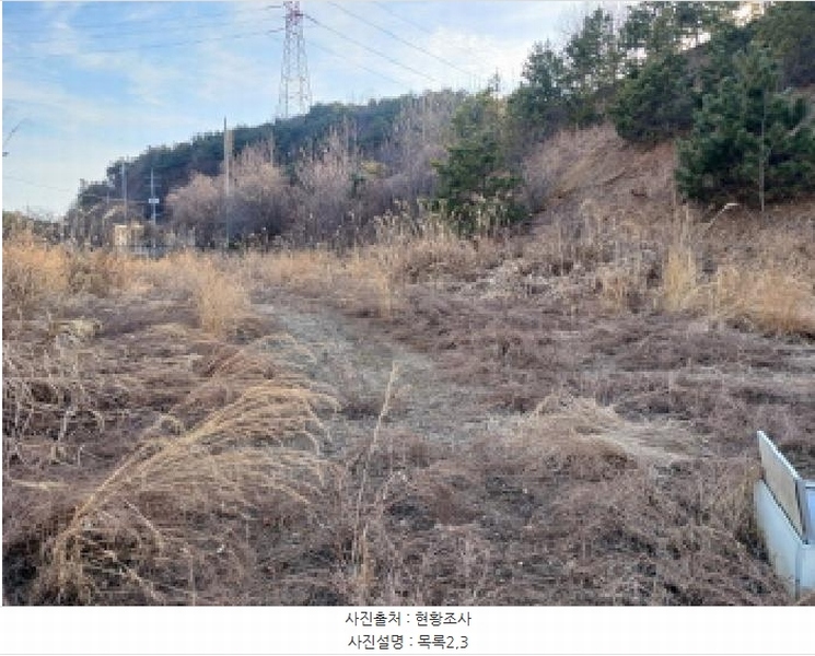 2025타경50980 충청남도 서산시 성연면 오사리 18-1 임야 경매 이미지