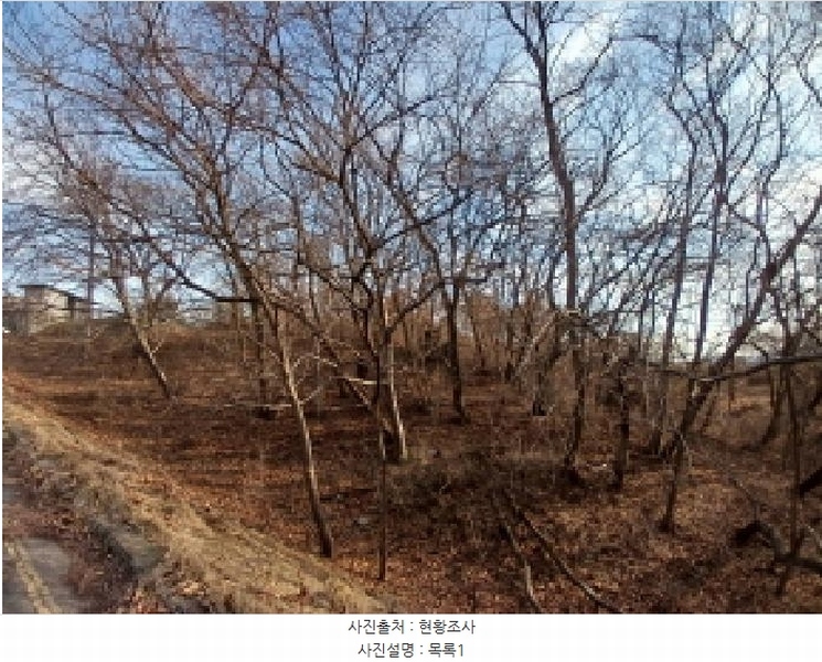 2025타경50980 충청남도 서산시 성연면 오사리 18-1 임야 경매 이미지