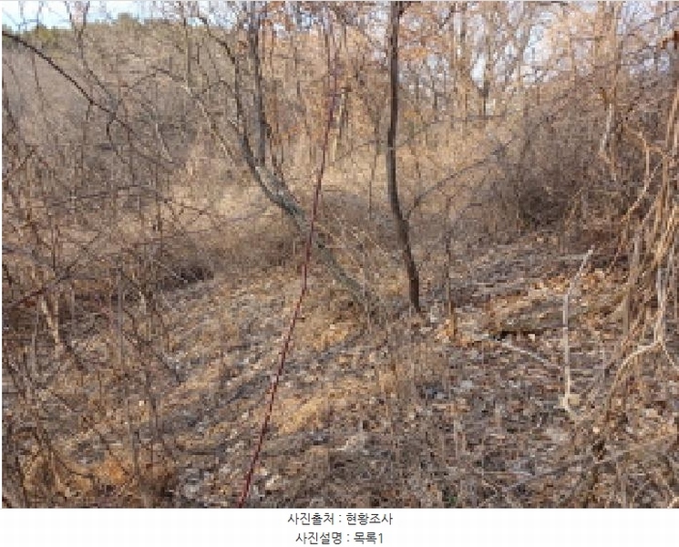 2025타경50980 충청남도 서산시 성연면 오사리 18-1 임야 경매 이미지