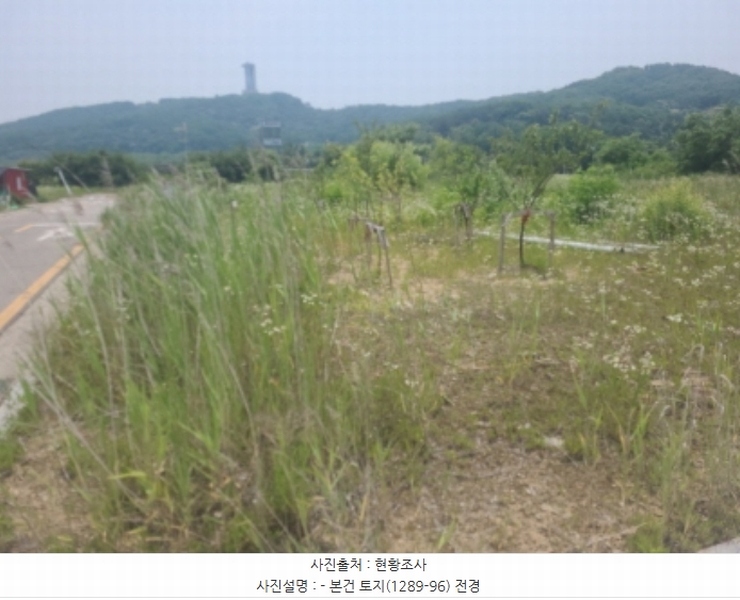 2023타경516103 인천광역시 중구 운북동 1289-10 대지 경매 이미지