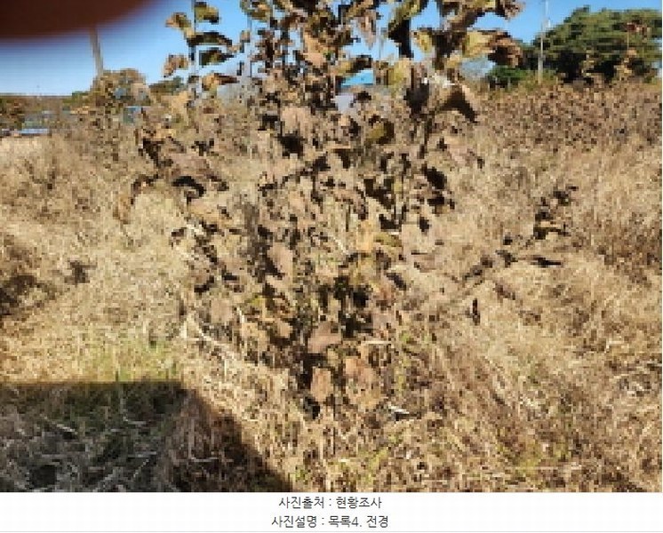 2024타경8609 인천광역시 강화군 송해면 솔정리 275-3 농지 경매 이미지