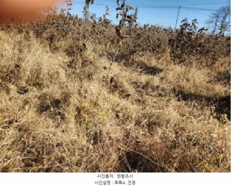2024타경8609 인천광역시 강화군 송해면 솔정리 275-3 농지 경매 이미지