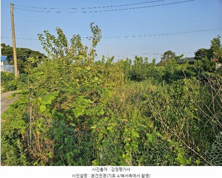 2024타경8609 인천광역시 강화군 송해면 솔정리 275-3 농지 경매 이미지