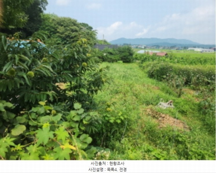 2024타경8609 인천광역시 강화군 송해면 솔정리 275-3 농지 경매 이미지
