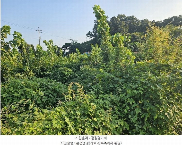 2024타경8609 인천광역시 강화군 송해면 솔정리 275-3 농지 경매 이미지