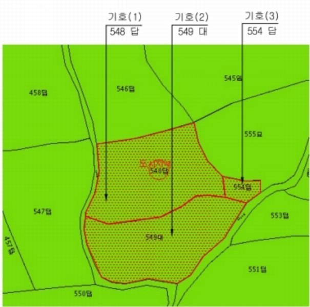 2024타경10169 울산광역시 울주군 상북면 거리 549 대지 경매 이미지