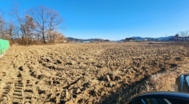 2024타경10169 울산광역시 울주군 상북면 거리 549 대지 경매 이미지
