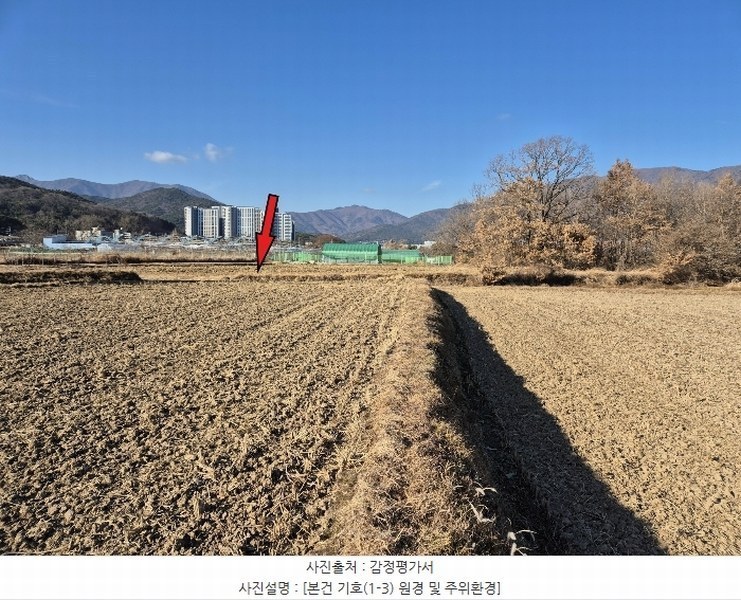 2024타경10169 울산광역시 울주군 상북면 거리 549 대지 경매 이미지