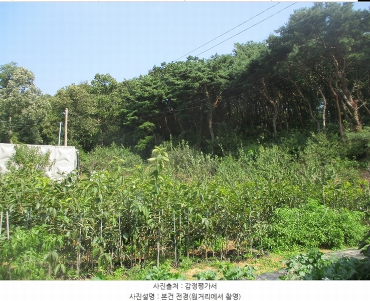 2024타경561728 인천광역시 강화군 양도면 인산리 산43-1 임야 경매 이미지