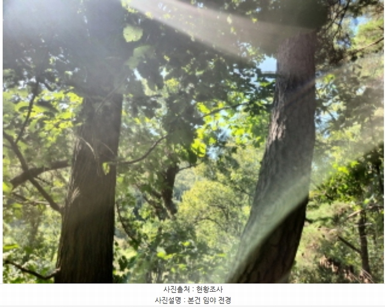 2024타경561728 인천광역시 강화군 양도면 인산리 산43-1 임야 경매 이미지