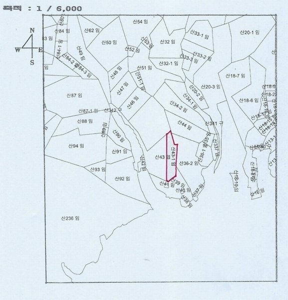 2024타경561728 인천광역시 강화군 양도면 인산리 산43-1 임야 경매 이미지