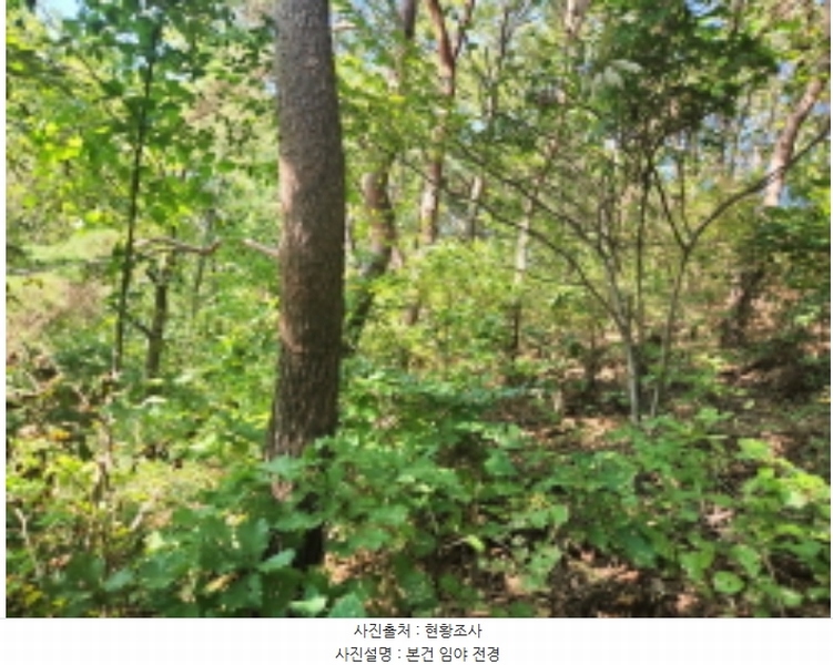 2024타경561728 인천광역시 강화군 양도면 인산리 산43-1 임야 경매 이미지