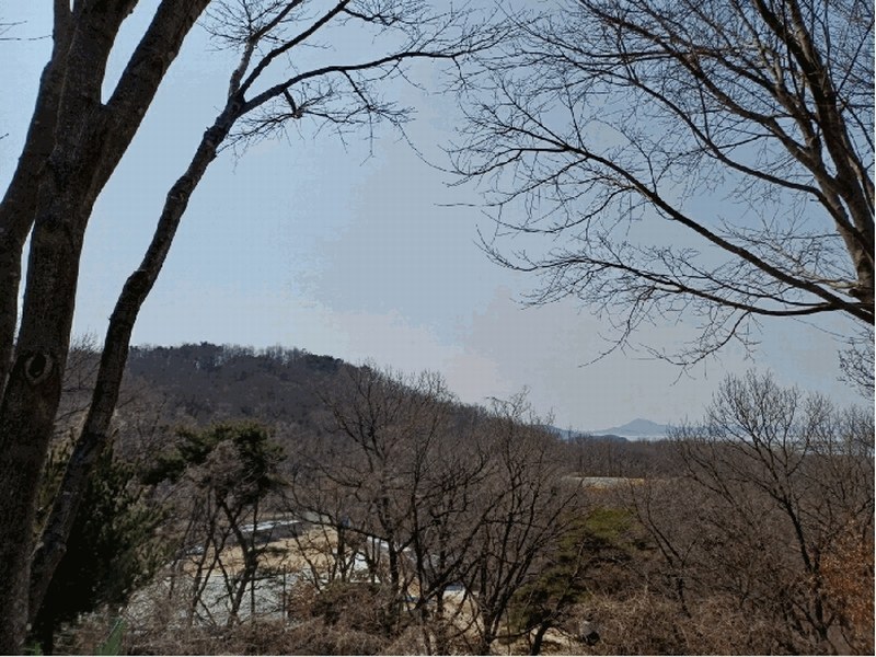 2025타경507963 인천광역시 강화군 양사면 철산리 90-25 임야 경매 이미지