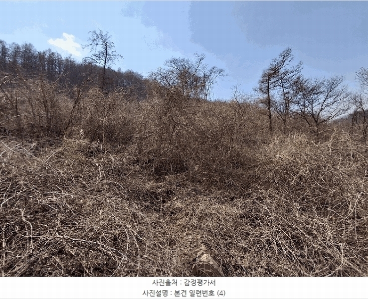 2025타경51035 충청북도 보은군 마로면 임곡리 369 농지 경매 이미지