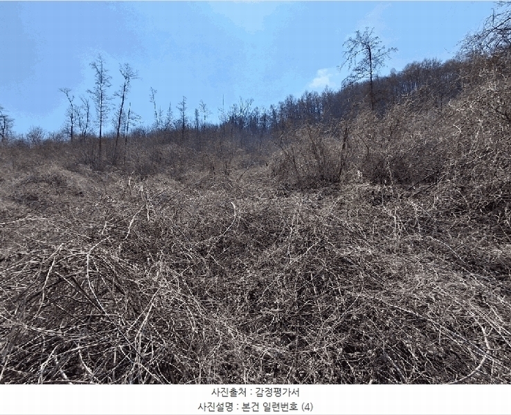 2025타경51035 충청북도 보은군 마로면 임곡리 369 농지 경매 이미지