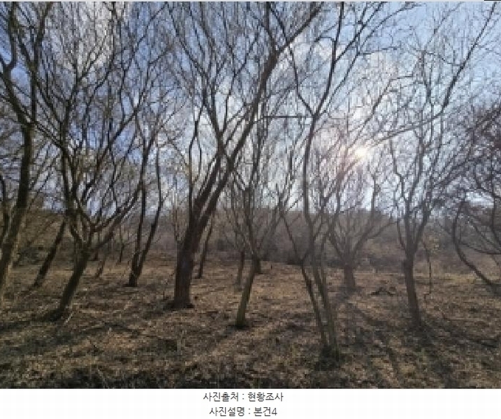 2025타경51035 충청북도 보은군 마로면 임곡리 369 농지 경매 이미지