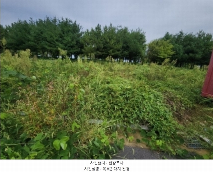 2024타경553772 인천광역시 중구 운북동 1286-1 도로 경매 이미지