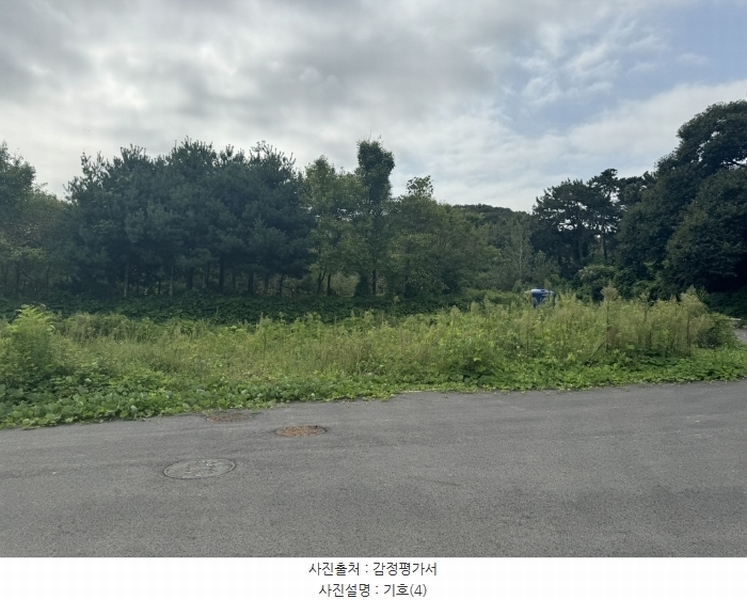 2024타경553772 인천광역시 중구 운북동 1286-1 도로 경매 이미지