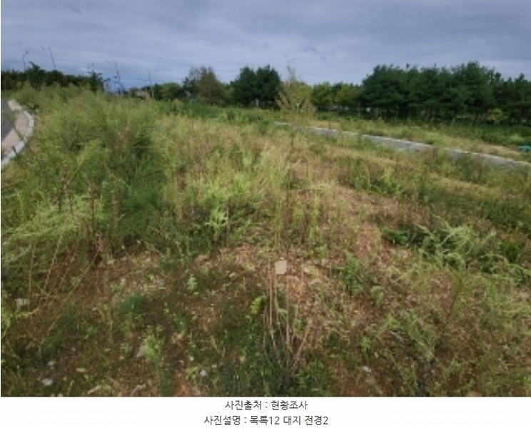 2024타경553772 인천광역시 중구 운북동 1286-1 도로 경매 이미지