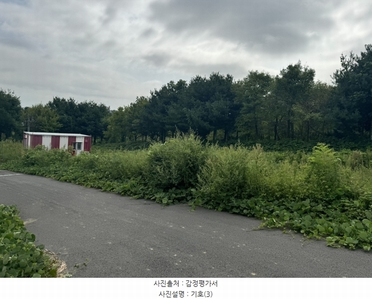 2024타경553772 인천광역시 중구 운북동 1286-1 도로 경매 이미지