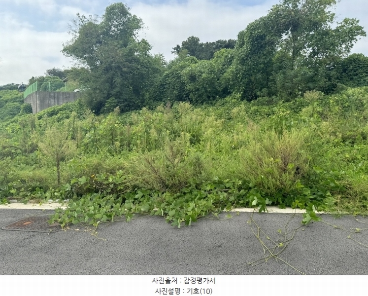 2024타경553772 인천광역시 중구 운북동 1286-1 도로 경매 이미지
