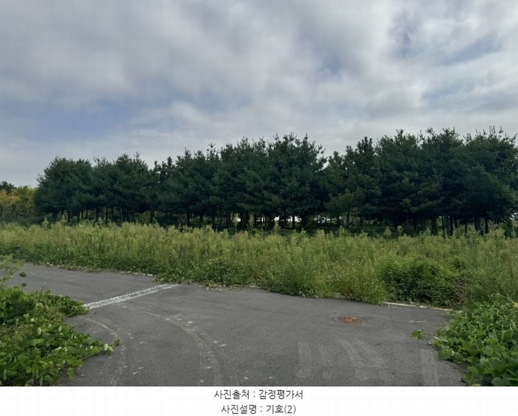 2024타경553772 인천광역시 중구 운북동 1286-1 도로 경매 이미지