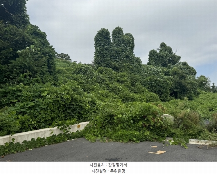 2024타경553772 인천광역시 중구 운북동 1286-1 도로 경매 이미지