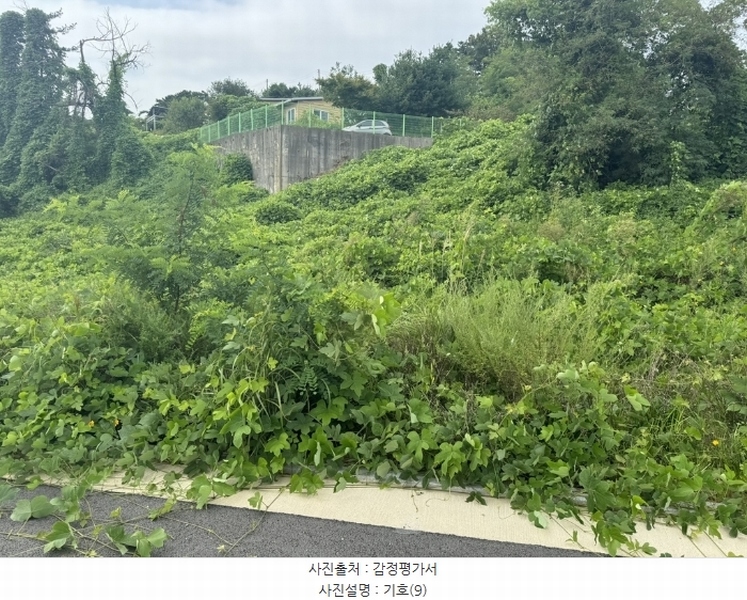 2024타경553772 인천광역시 중구 운북동 1286-1 도로 경매 이미지