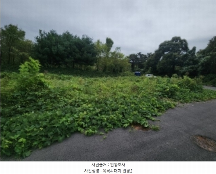 2024타경553772 인천광역시 중구 운북동 1286-1 도로 경매 이미지