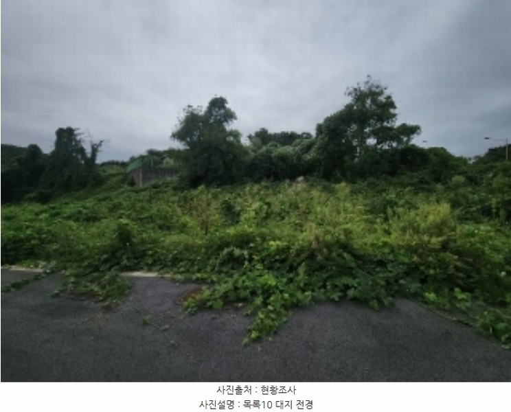 2024타경553772 인천광역시 중구 운북동 1286-1 도로 경매 이미지