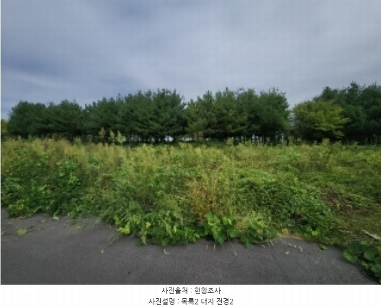 2024타경553772 인천광역시 중구 운북동 1286-1 도로 경매 이미지