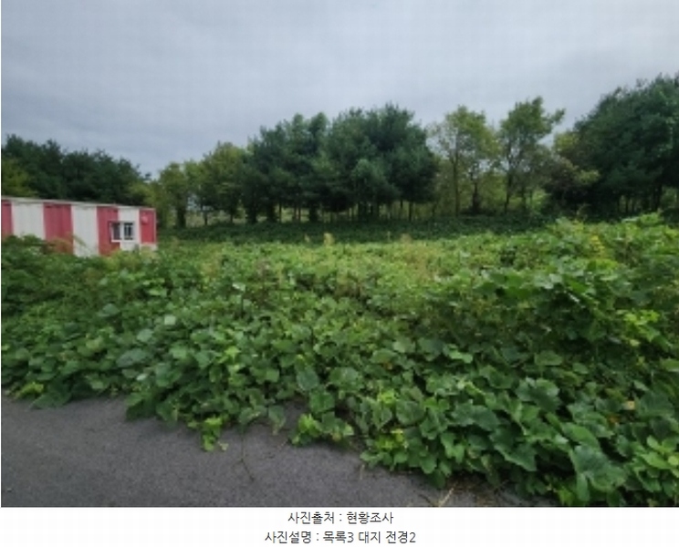 2024타경553772 인천광역시 중구 운북동 1286-1 도로 경매 이미지