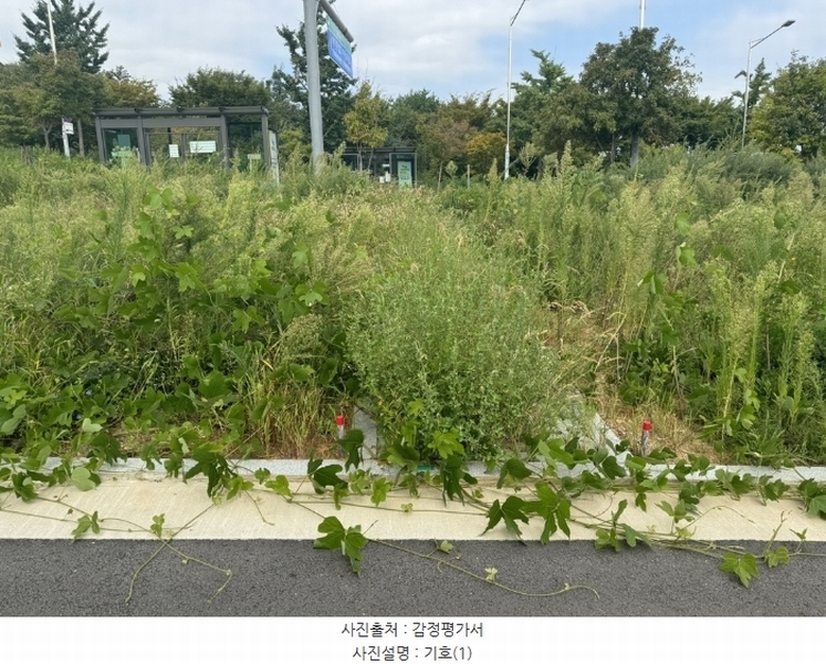 2024타경553772 인천광역시 중구 운북동 1286-1 도로 경매 이미지