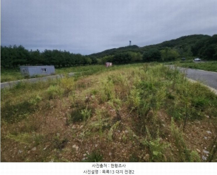 2024타경553772 인천광역시 중구 운북동 1286-1 도로 경매 이미지