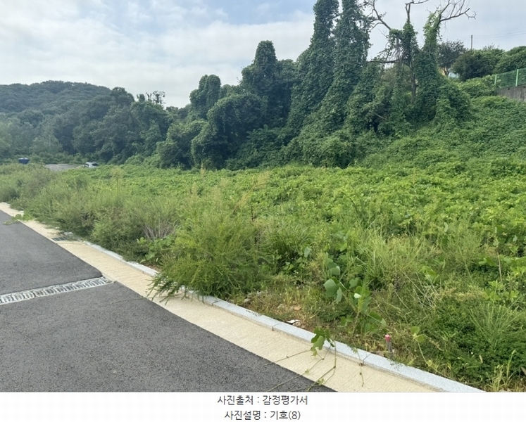 2024타경553772 인천광역시 중구 운북동 1286-1 도로 경매 이미지
