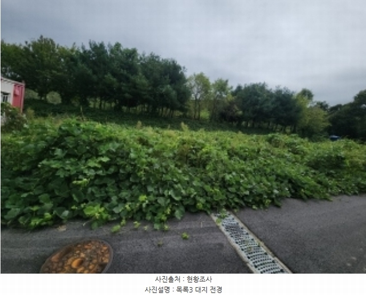 2024타경553772 인천광역시 중구 운북동 1286-1 도로 경매 이미지