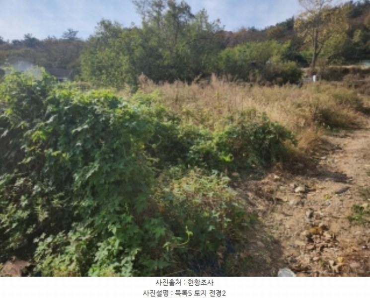 2024타경563786 인천광역시 중구 무의동 7-2 농지 경매 이미지