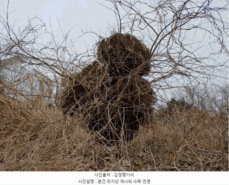 2025타경51064 충청남도 태안군 고남면 고남리 1769-18 임야 경매 이미지