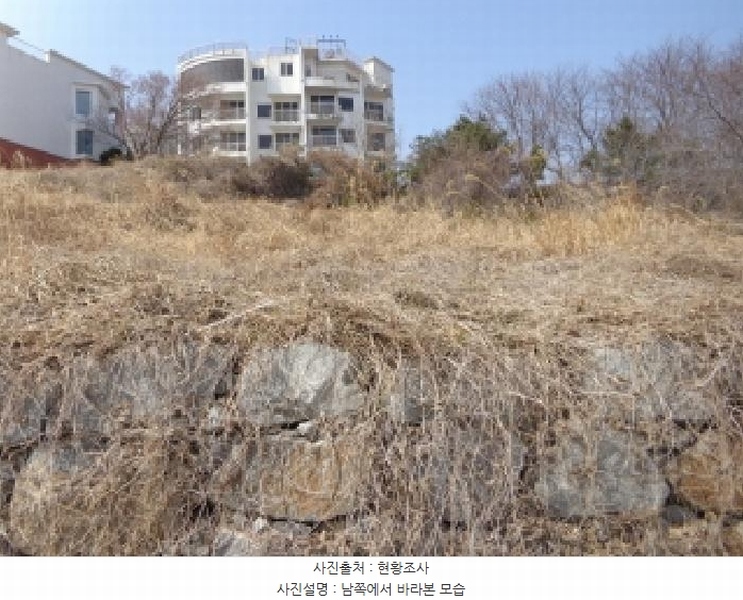 2025타경51064 충청남도 태안군 고남면 고남리 1769-18 임야 경매 이미지