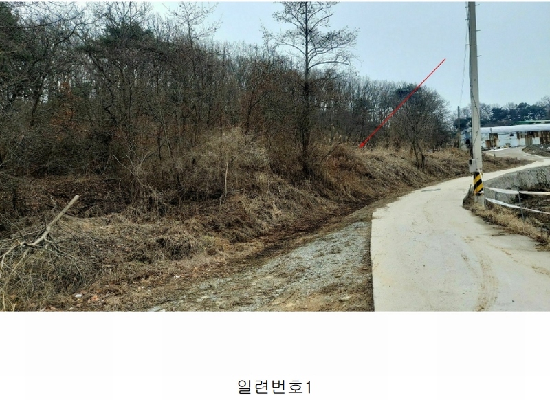 2024타경505896 인천광역시 강화군 양사면 인화리 산403 임야 경매 이미지