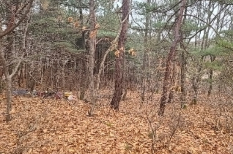 2024타경505896 인천광역시 강화군 양사면 인화리 산403 임야 경매 이미지