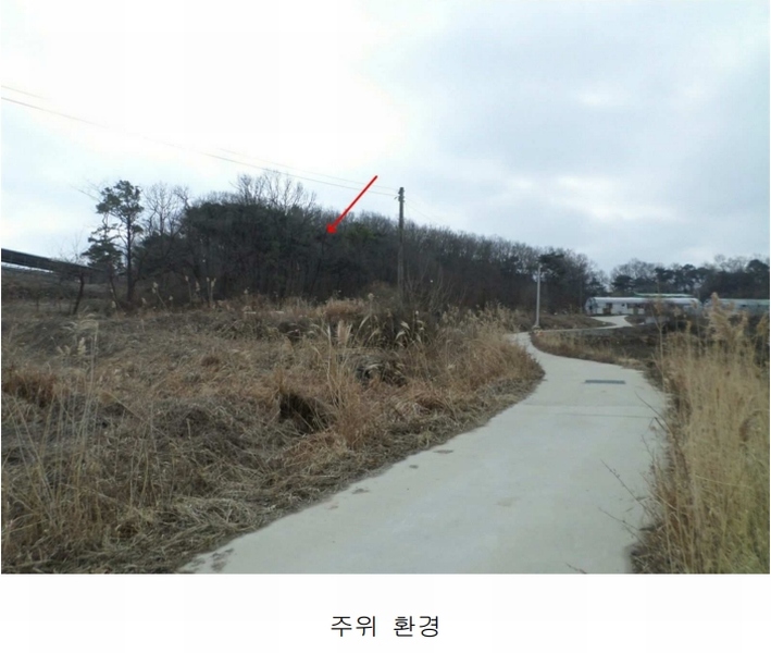 2024타경505896 인천광역시 강화군 양사면 인화리 산403 임야 경매 이미지