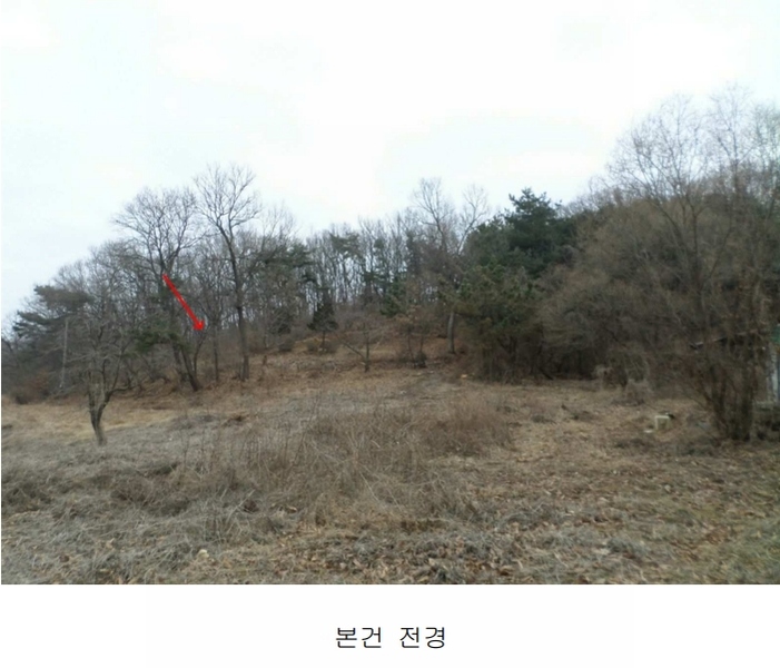 2024타경505896 인천광역시 강화군 양사면 인화리 산403 임야 경매 이미지