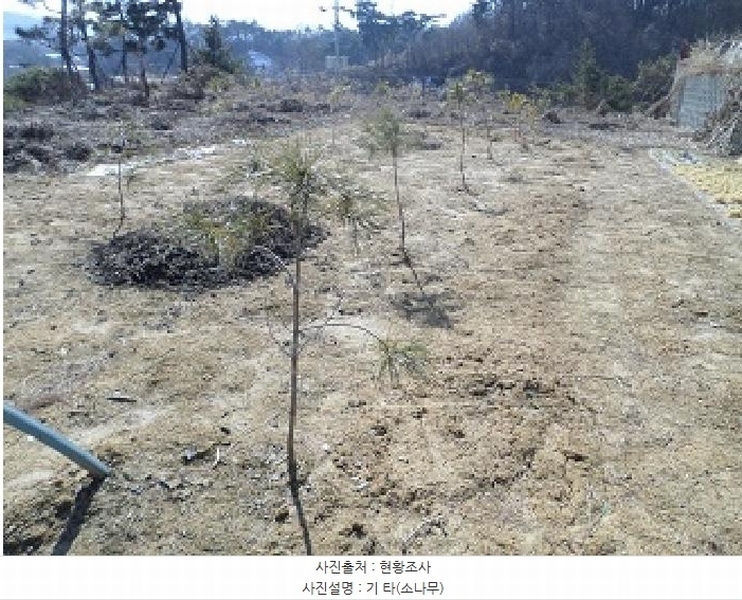 2025타경299 강원특별자치도 원주시 판부면 서곡리 544-2 주택 경매 이미지