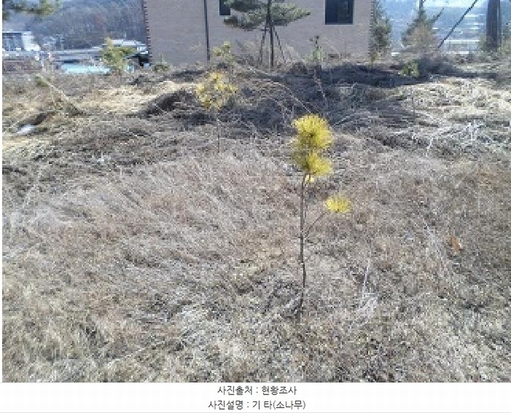 2025타경299 강원특별자치도 원주시 판부면 서곡리 544-2 주택 경매 이미지