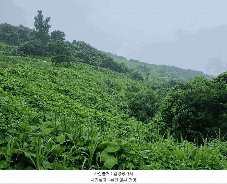 2025타경776 경상남도 산청군 산청읍 차탄리 산9-8 임야 경매 이미지