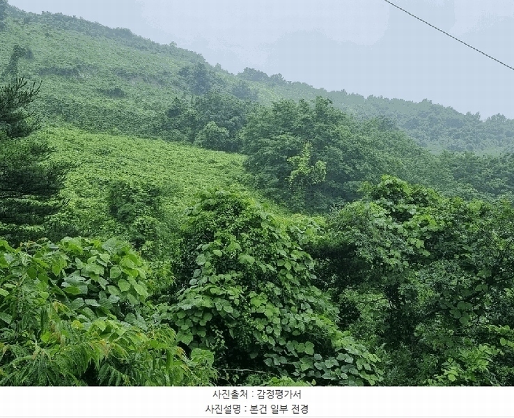 2025타경776 경상남도 산청군 산청읍 차탄리 산9-8 임야 경매 이미지