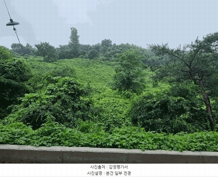 2025타경776 경상남도 산청군 산청읍 차탄리 산9-8 임야 경매 이미지