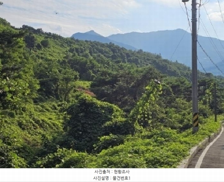 2025타경776 경상남도 산청군 산청읍 차탄리 산9-8 임야 경매 이미지
